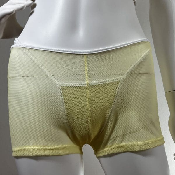 Sheer Lemon Cami & Short Set with Matching G-String - Image 6