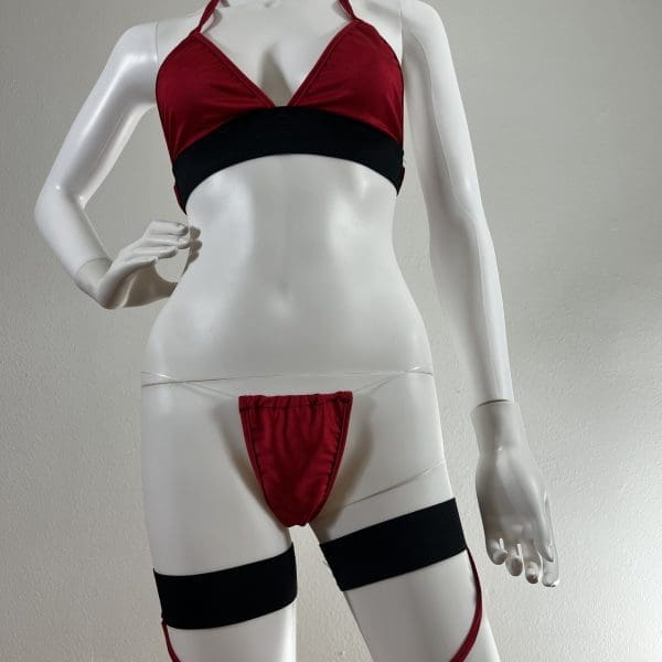 Vavavoom Red & Black Clear Strap Bikini with Garters, 4 Piece Set - Image 2