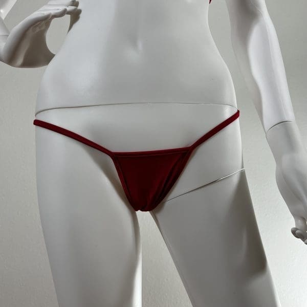 Cherry Red Bikini Set with Matching G-String - Image 6