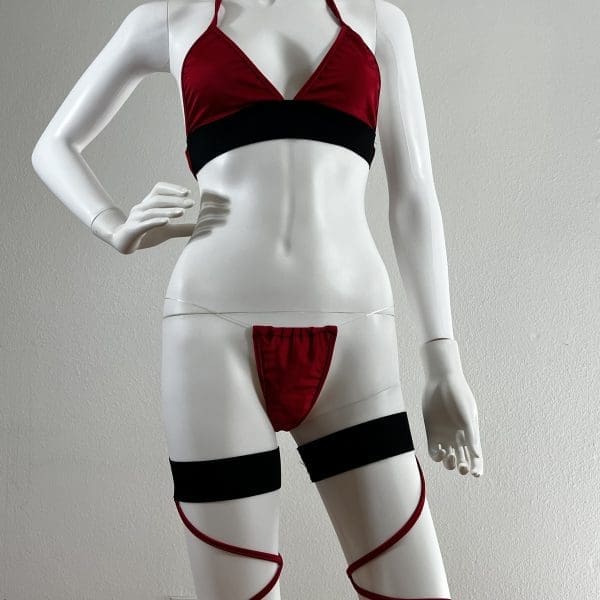 Vavavoom Red & Black Clear Strap Bikini with Garters, 4 Piece Set